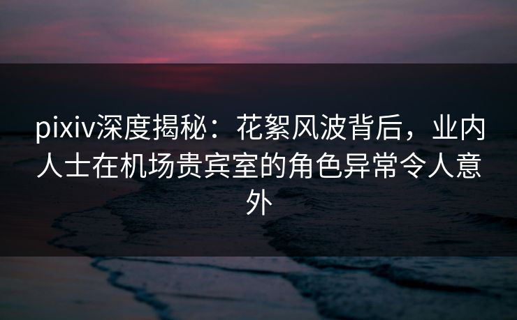 pixiv深度揭秘：花絮风波背后，业内人士在机场贵宾室的角色异常令人意外
